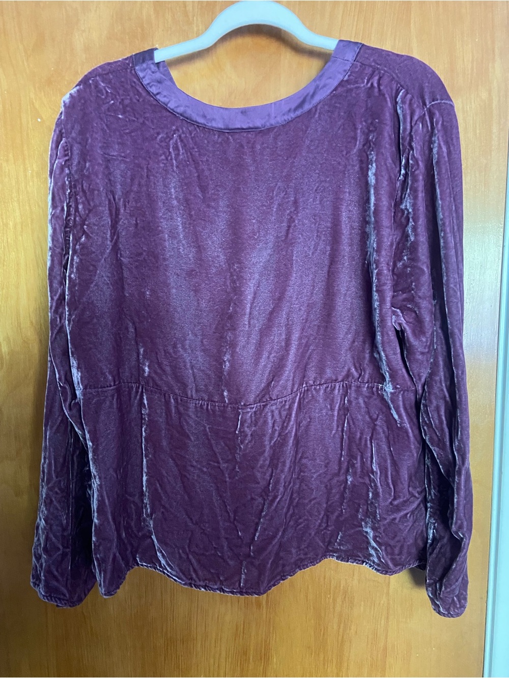 J. Jill Plum Velvet V-Neck Long Sleeve Blouse - Picture 6 of 6